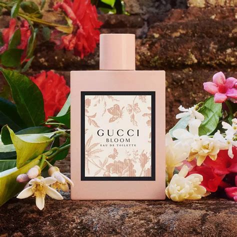 gucci bloom difference green and red|gucci bloom fragrantica.